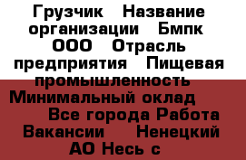 Грузчик › Название организации ­ Бмпк, ООО › Отрасль предприятия ­ Пищевая промышленность › Минимальный оклад ­ 20 000 - Все города Работа » Вакансии   . Ненецкий АО,Несь с.